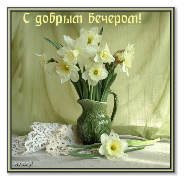 С днем рождения нарциссы