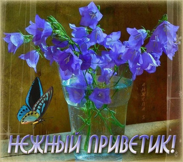 Открытки приветик