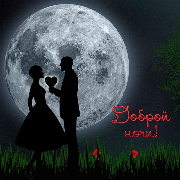 Белая роза на черном фоне