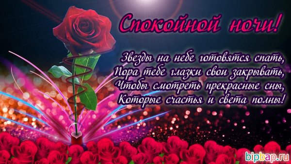 Любовь и нежность
