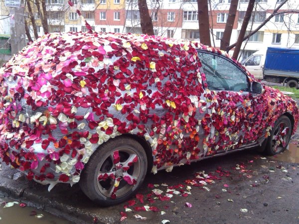 Цветочки в машине