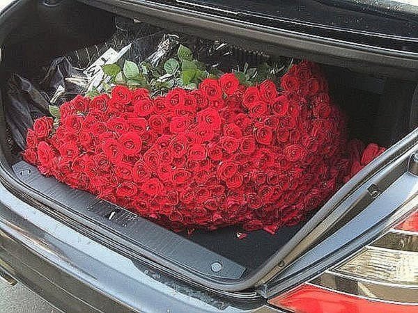 Розы в багажнике