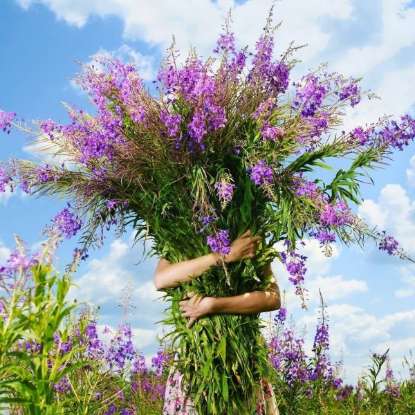 Букет цветов