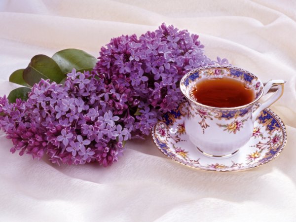 Сирень и Кружка чая