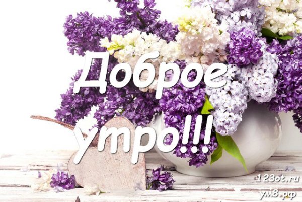 Сиреневое чаепитие