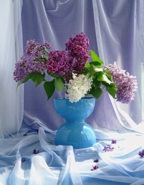 Кофе и цветы