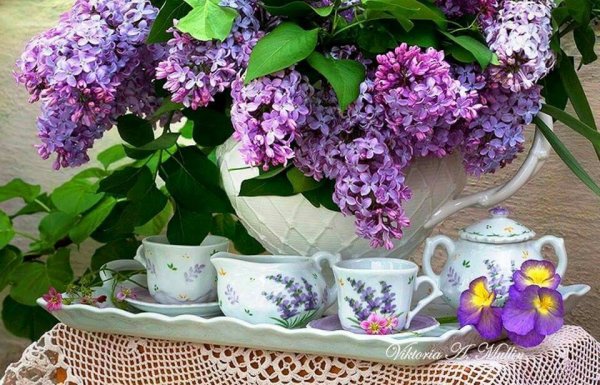 Майское утро цветы