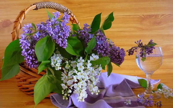 Утренняя сирень