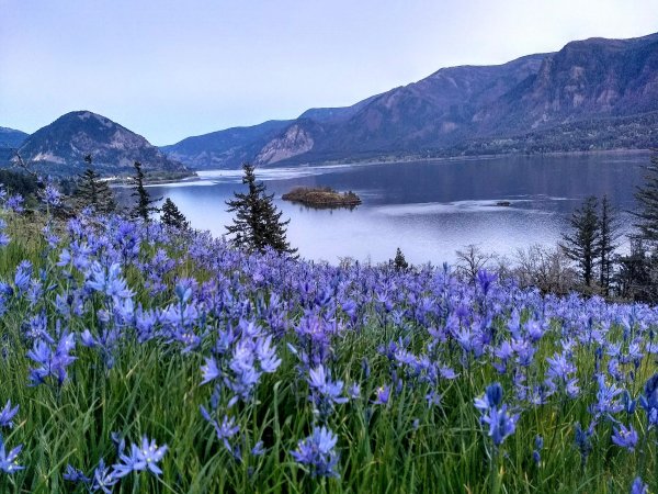 Красивая природа