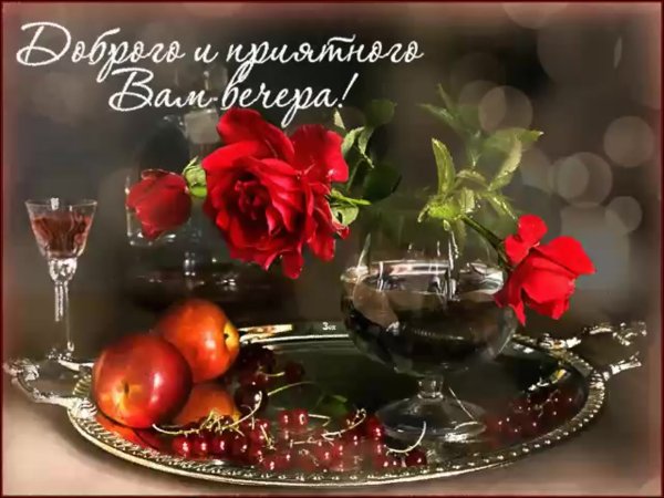 Добрый вечер красивые цветы