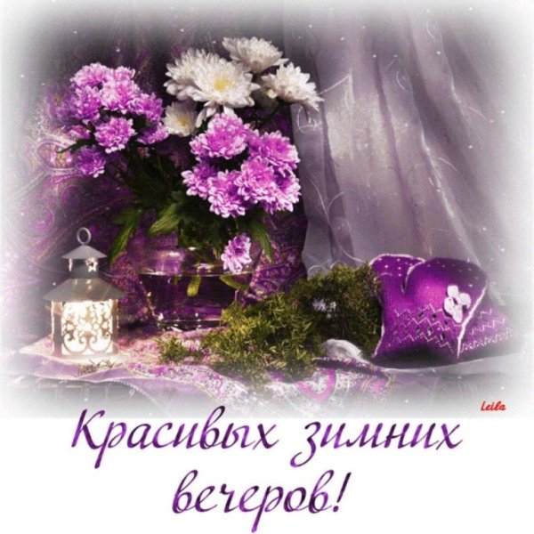 Вечерние розы