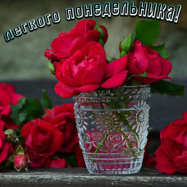 Приятного майского вечера