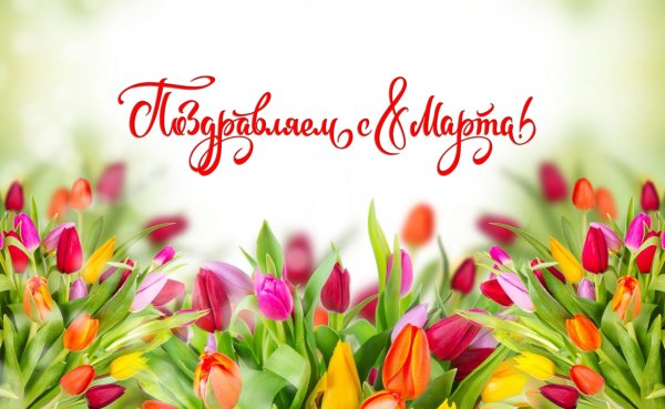 Мимоза и нарциссы