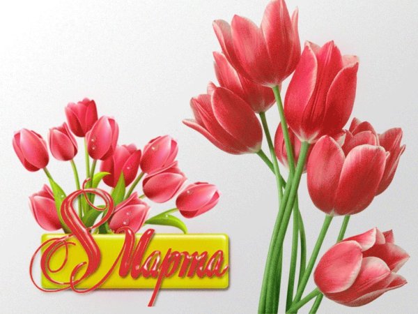 С 8 мартом тюльпаны