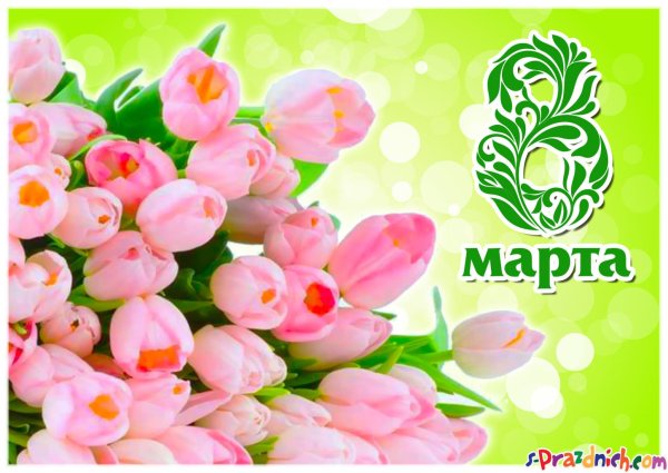 Поздравление с 8 марта розы