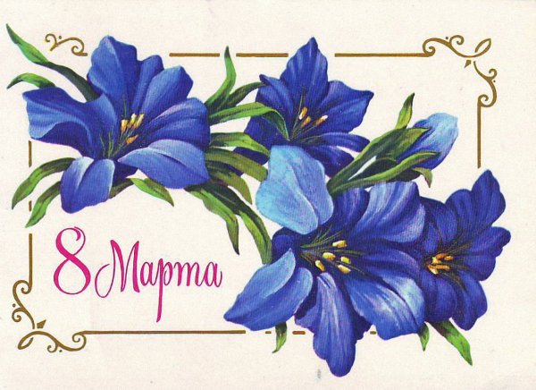 Розовые тюльпаны