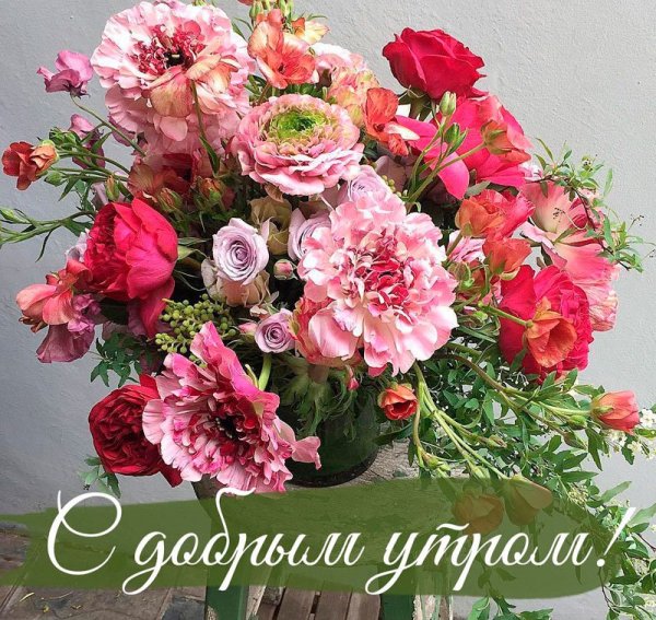 С добрым утром цветы красивые