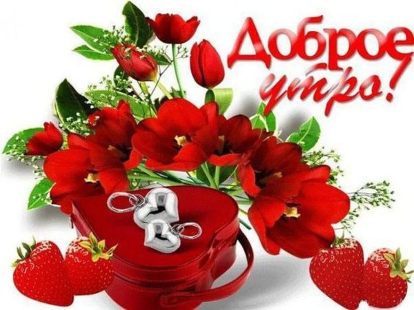 Картинки с добрым утром красивые