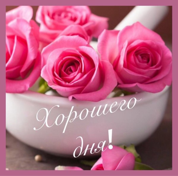 Цветы в чашке