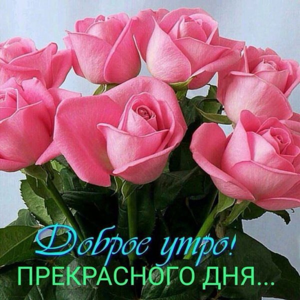 Открытки с добрым утром краси