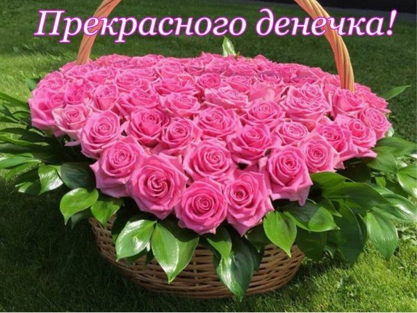 Поздравление с добрым утром с розами