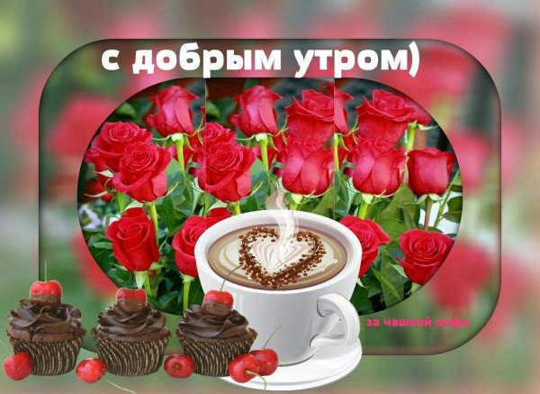 Доброе утро цветы красивые розы