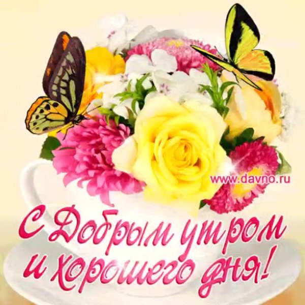 Красивой женщине красивые цветы
