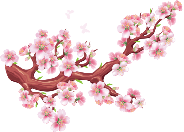 Веточка Сакуры