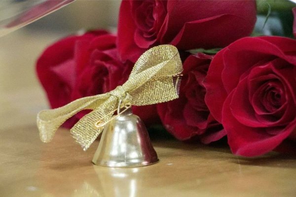 Цветы для выпускников