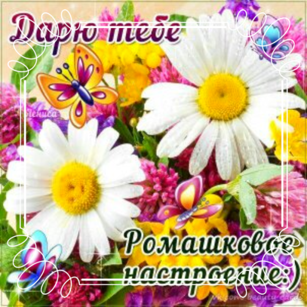 Открытки хорошего дня и отличного настроения