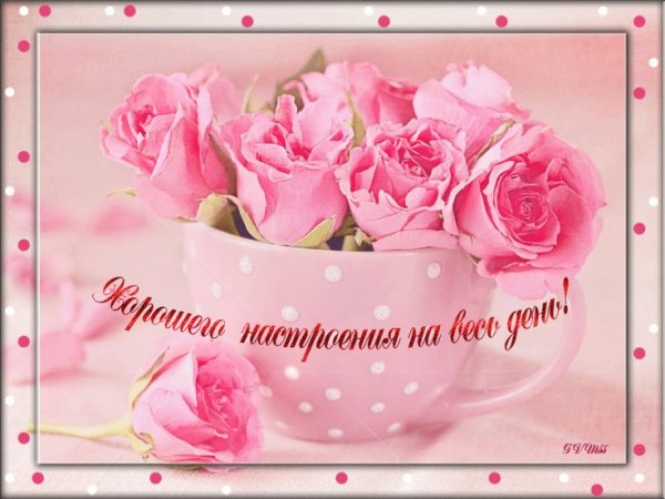 Чудесного дня и отличного настроения цветы