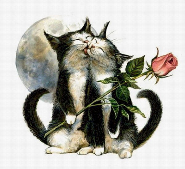Коты рисунки