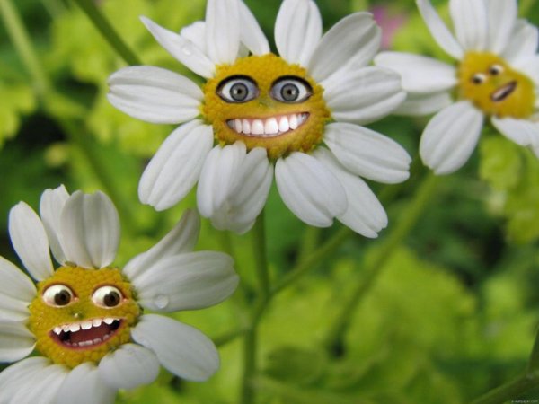Картинки детские Веселые