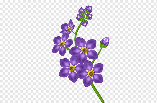 Цветы рисунок