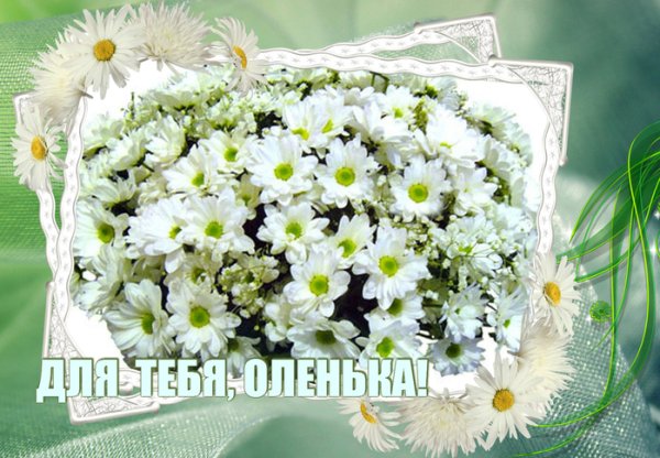 Ромашки для Оли