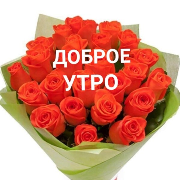 С днём рождения розы