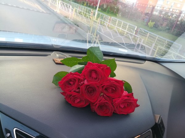 Картинки красивые цветы в машине (70 фото)