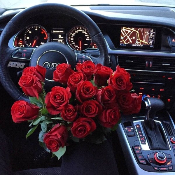 Цветы в БМВ е39