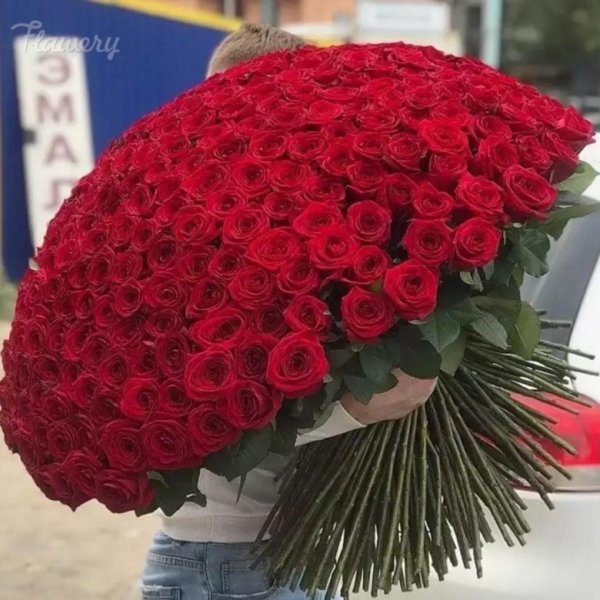 Букет роз огромный