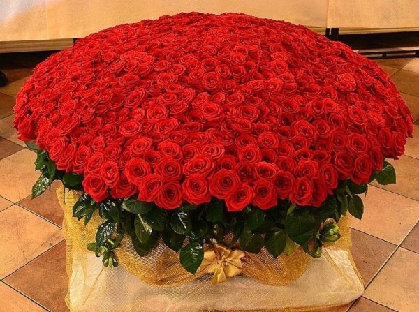 Самые красивые большие букеты роз