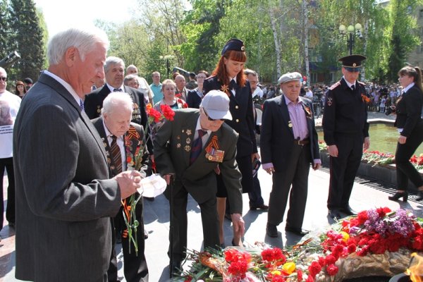 Красные гвоздики у вечного огня