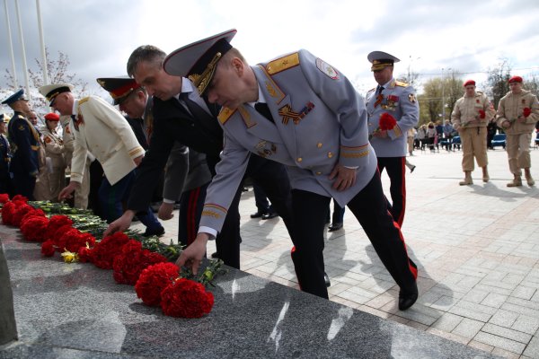 Гвоздики у обелиска