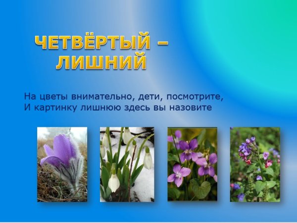 Первоцветы презентация для ДОУ