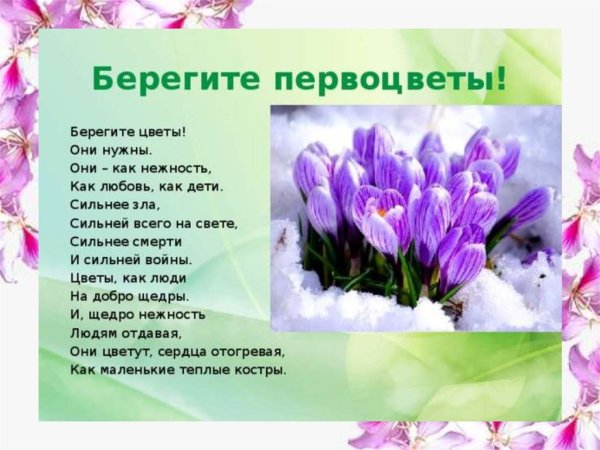 Первоцветы для дошкольников