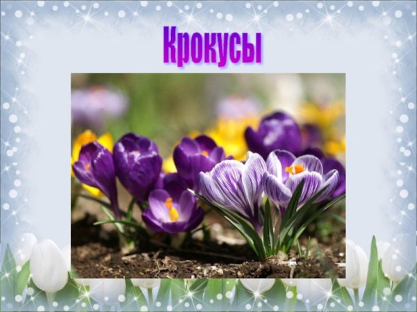 Весенние цветы для детей