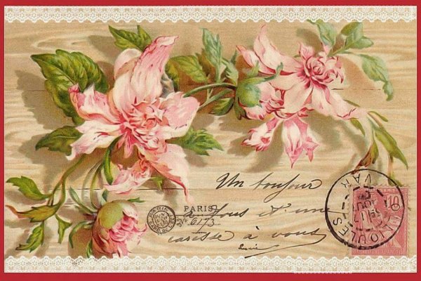Sagen Vintage Design "розы"