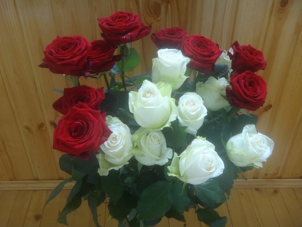 Голландская белая роза