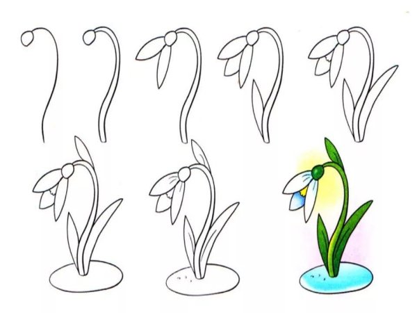 Ландыш рисунок карандашом для детей