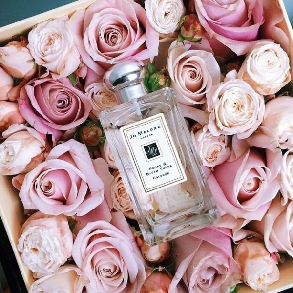 Viktor Rolf Flowerbomb Bloom