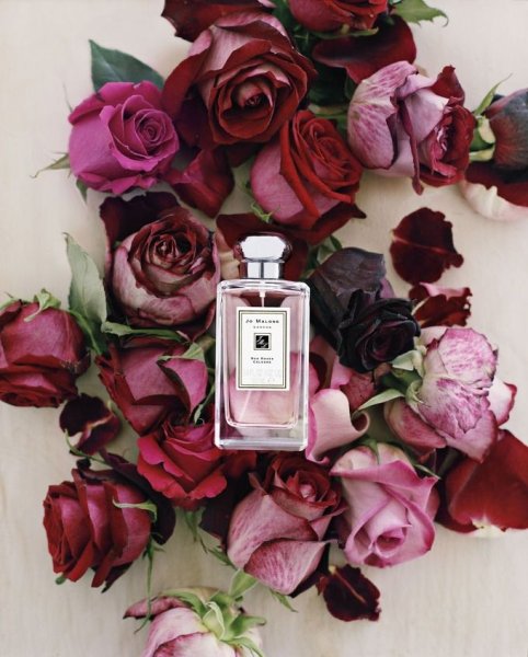 Chanel Parfum Rose
